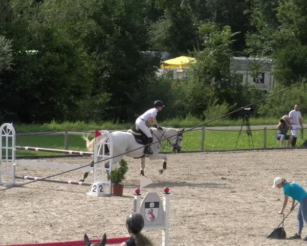 Reitturnier Gossau 2024