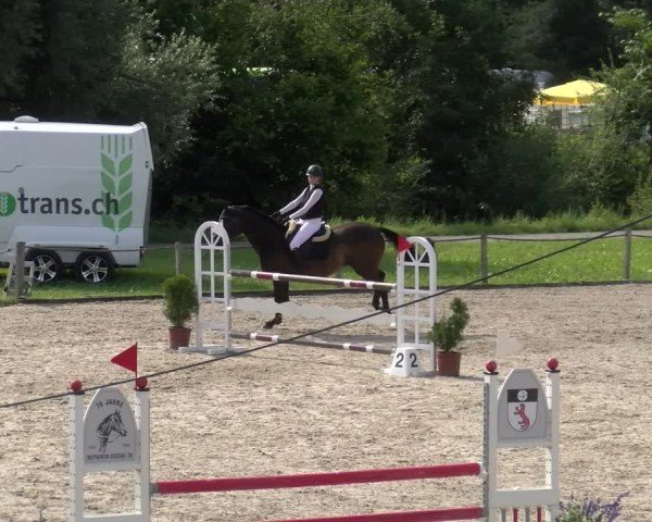 Reitturnier Gossau 2024