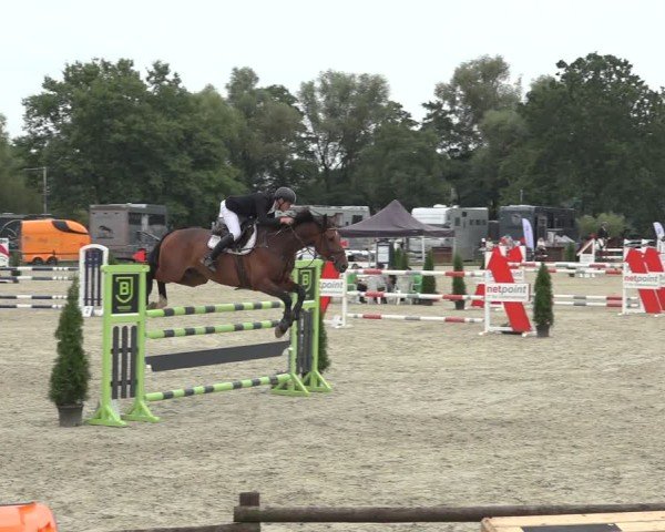 Reitturnier Nettetal-Lobberich 2024