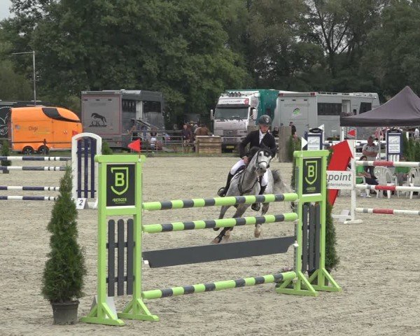 Reitturnier Nettetal-Lobberich 2024