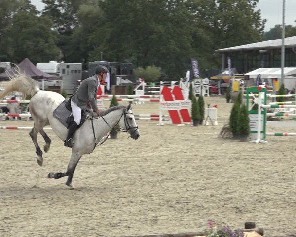 Reitturnier Nettetal-Lobberich 2024