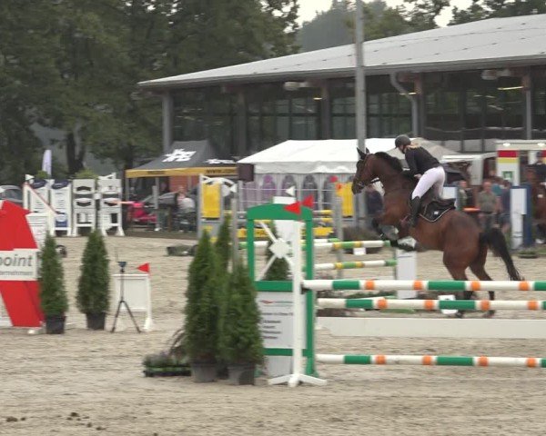 Reitturnier Nettetal-Lobberich 2024