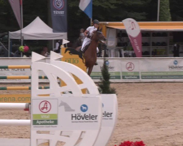 Reitturnier Ranshofen - Braunau am Inn 2024