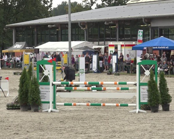 Reitturnier Nettetal-Lobberich 2024