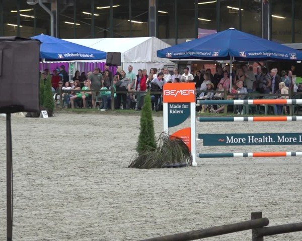 Reitturnier Nettetal-Lobberich 2024