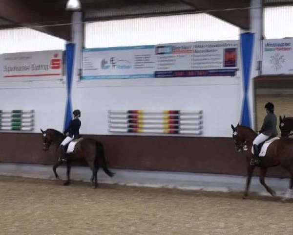 Dressur- und Springturnier Eröffnung der grünen Saison 2013