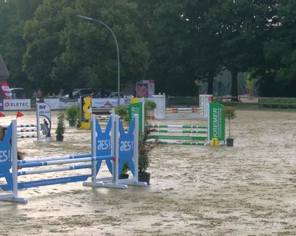 Reitturnier Stadtlohn 2024