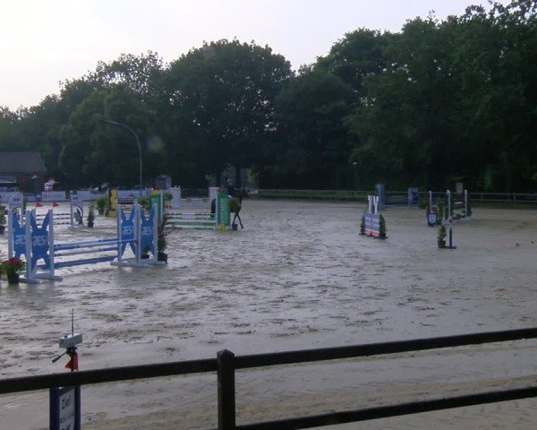 Reitturnier Stadtlohn 2024