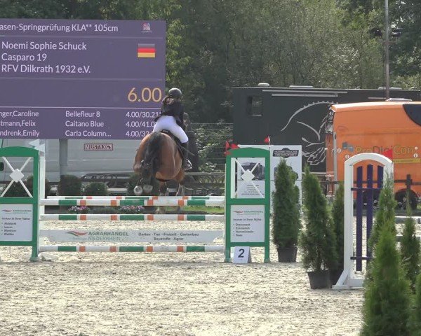 Reitturnier Nettetal-Lobberich 2024