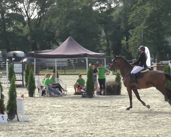 Reitturnier Nettetal-Lobberich 2024