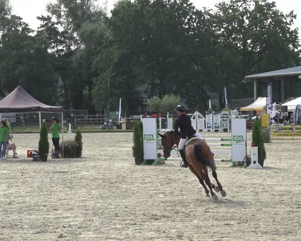Reitturnier Nettetal-Lobberich 2024