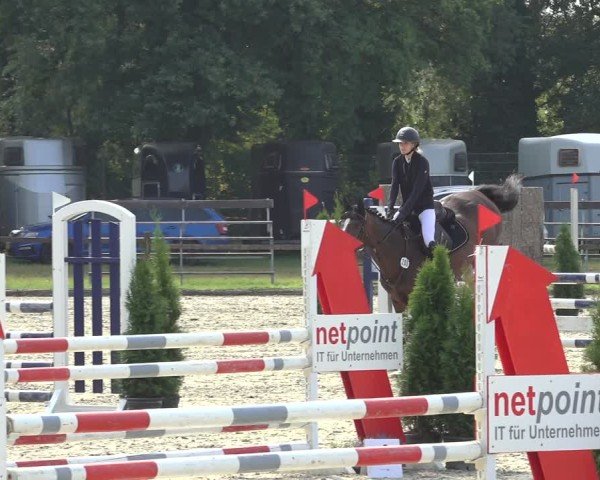Reitturnier Nettetal-Lobberich 2024