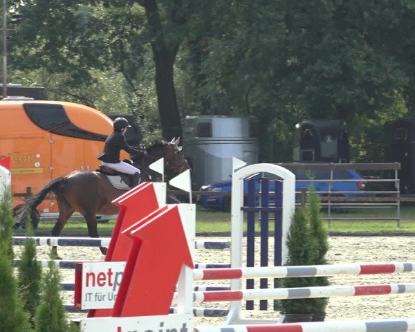 Reitturnier Nettetal-Lobberich 2024