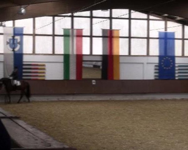 Dressur- und Springturnier Eröffnung der grünen Saison 2013
