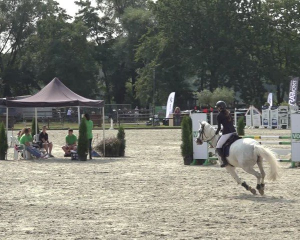 Reitturnier Nettetal-Lobberich 2024