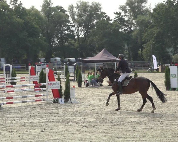 Reitturnier Nettetal-Lobberich 2024