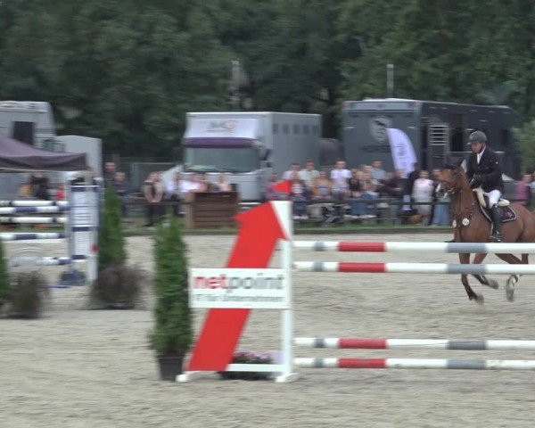 Reitturnier Nettetal-Lobberich 2024