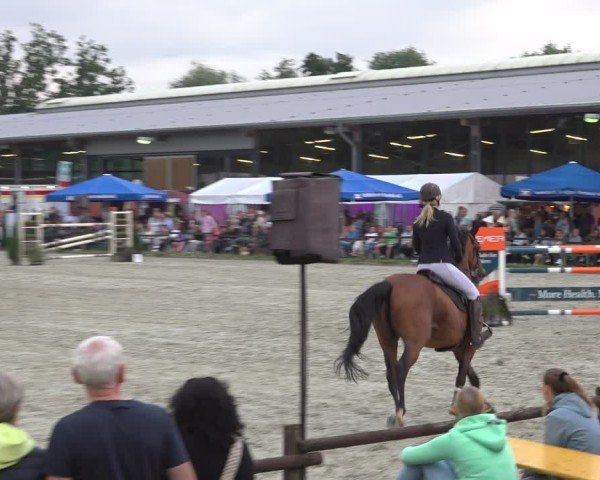 Reitturnier Nettetal-Lobberich 2024