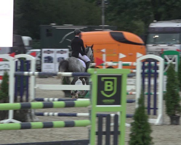 Reitturnier Nettetal-Lobberich 2024