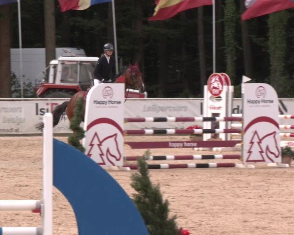 Reitturnier Ranshofen - Braunau am Inn 2024