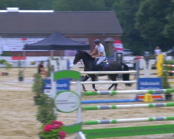 Reitturnier Stadtlohn 2024