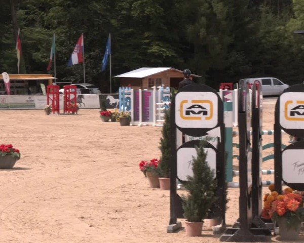 Reitturnier Ranshofen - Braunau am Inn 2024