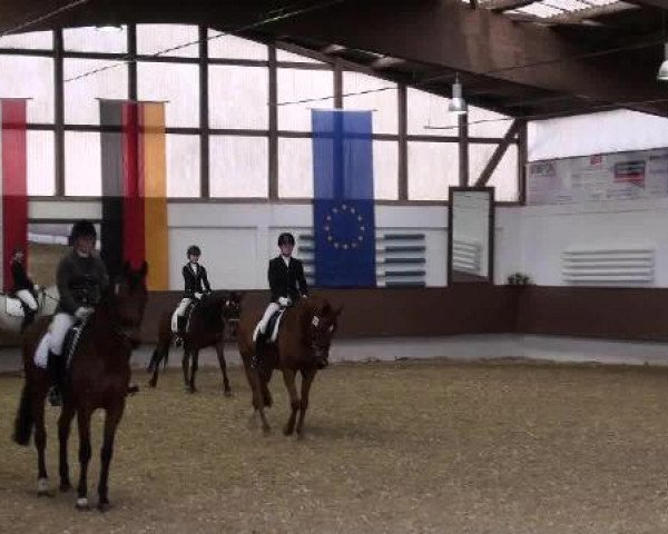 Dressur- und Springturnier Eröffnung der grünen Saison 2013