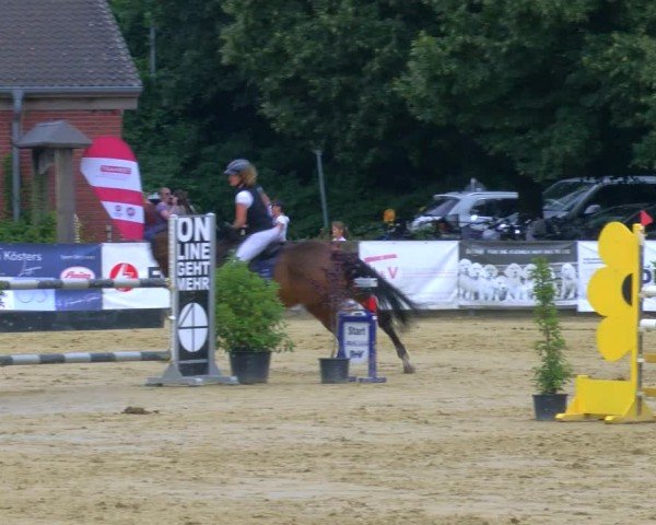 Reitturnier Stadtlohn 2024