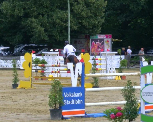 Reitturnier Stadtlohn 2024