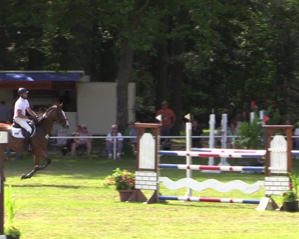 Reitturnier Zobbenitz 2024