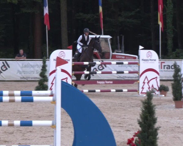 Reitturnier Ranshofen - Braunau am Inn 2024