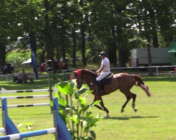 Reitturnier Zobbenitz 2024