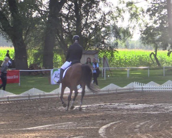 Reitturnier Zobbenitz 2024