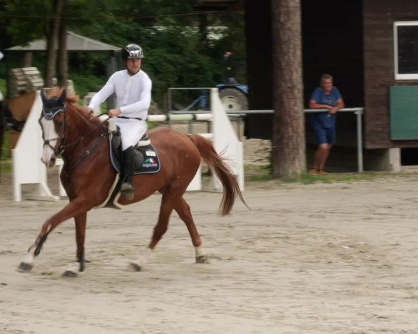 Reitturnier Mannheim-Friedrichsfeld 2024