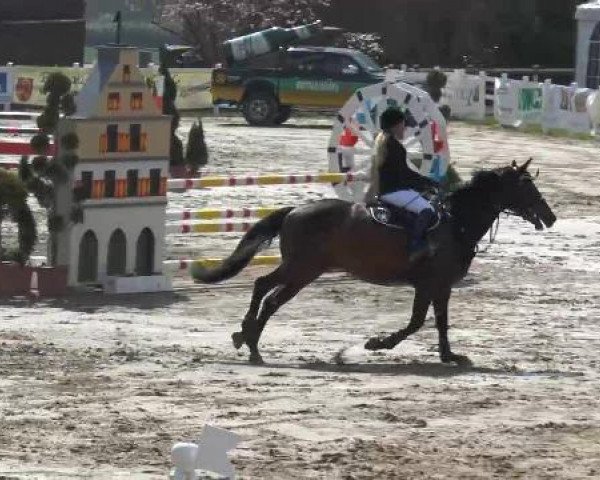 Lenklarer Reitertage auf der Reitsportanlage Gripshöver 2013