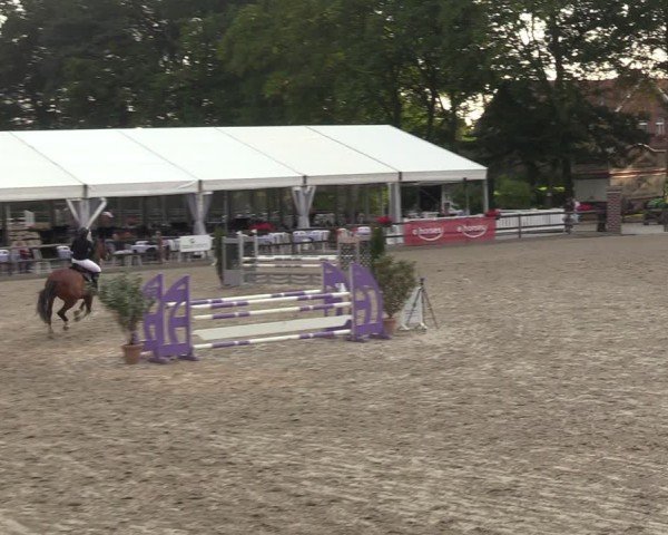 Reitturnier Klein Roscharden 2024