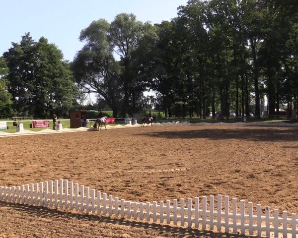 Reitturnier Zobbenitz 2024