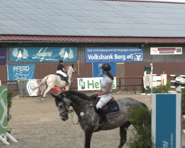 Reitturnier Marienheide-Kempershöhe 2024