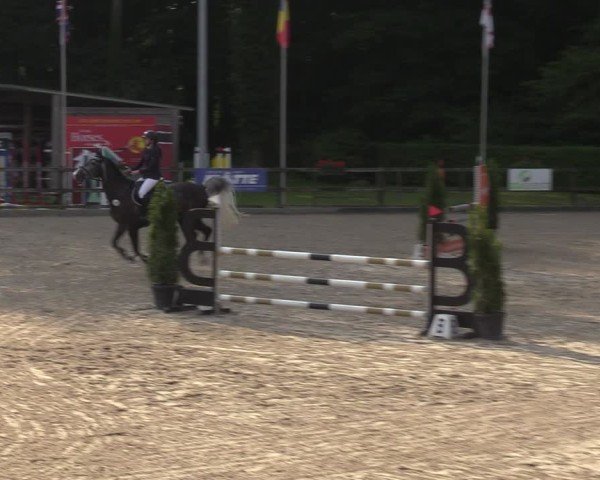 Reitturnier Klein Roscharden 2024