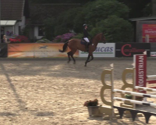 Reitturnier Klein Roscharden 2024