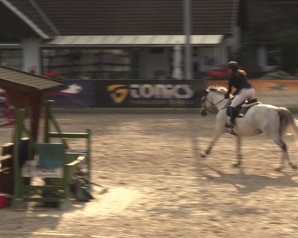 Reitturnier Klein Roscharden 2024