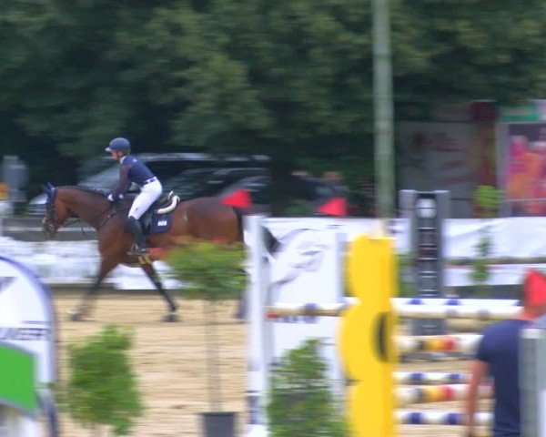 Reitturnier Stadtlohn 2024