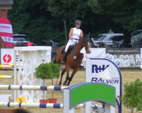 Reitturnier Stadtlohn 2024