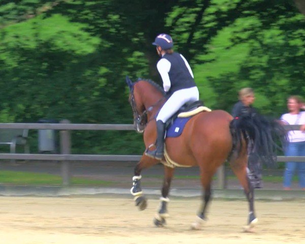 Reitturnier Stadtlohn 2024