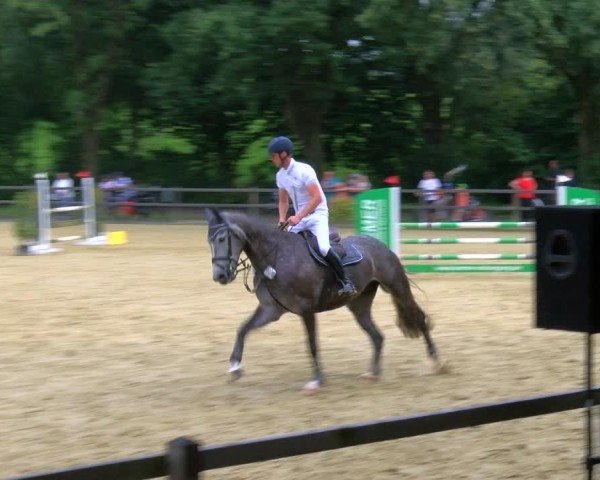 Reitturnier Stadtlohn 2024