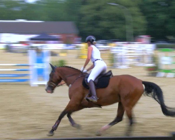 Reitturnier Stadtlohn 2024