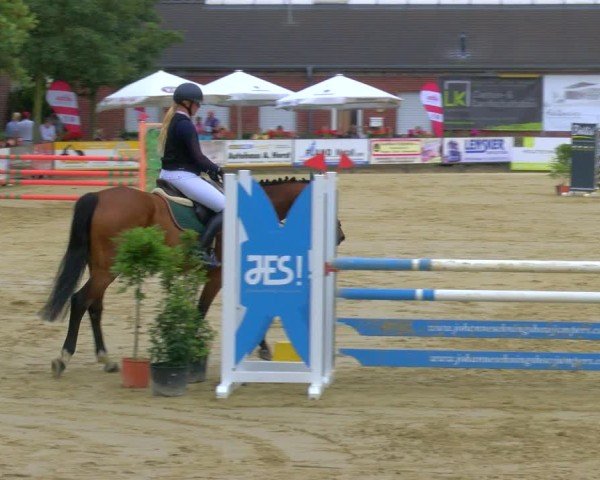 Reitturnier Stadtlohn 2024