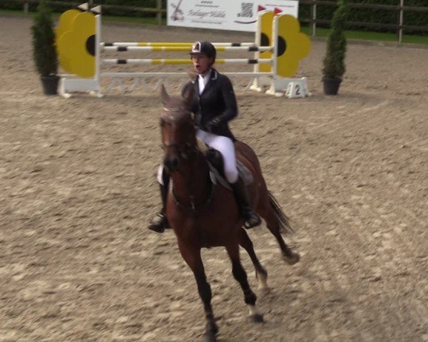 Reitturnier Klein Roscharden 2024