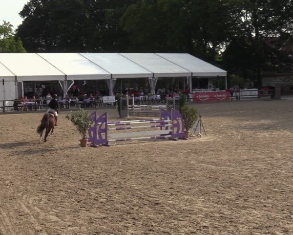 Reitturnier Klein Roscharden 2024