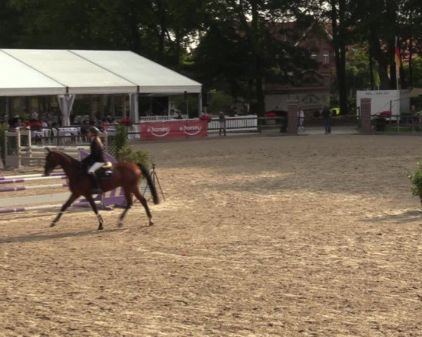 Reitturnier Klein Roscharden 2024